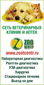 ZOO ЦЕНТР ООО Эффект